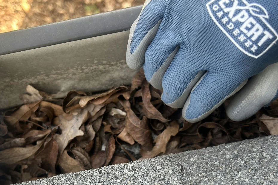 Gutter Cleaning Berkeley Lake