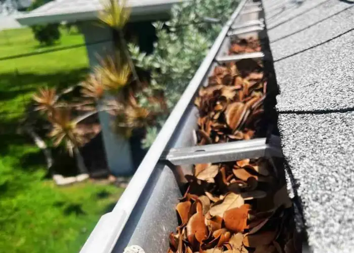 Gutter Cleaning Berkeley Lake home page